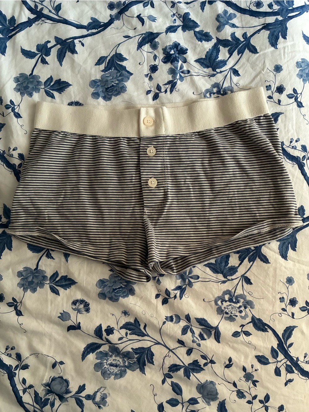 Brandy Melville Shorts
